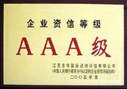 AAA Enterprise Credit Rating (2005)